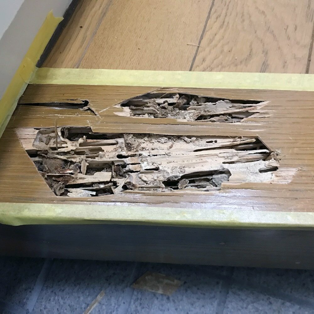 框シロアリ被害_before